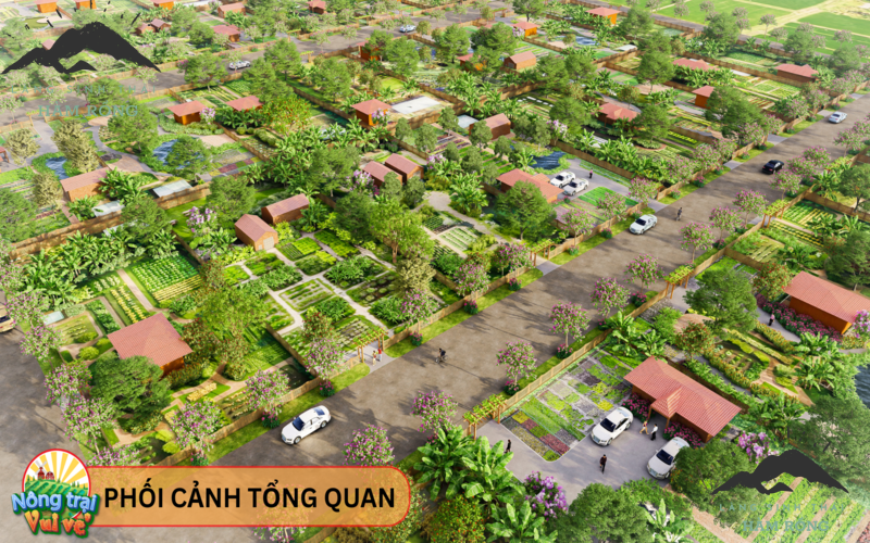 Tiến Độ Dự Án Làng Sinh Thái Hàm Rồng Gia Lai - Cập Nhật Mới Nhất 2025 1 Giới thiệu la