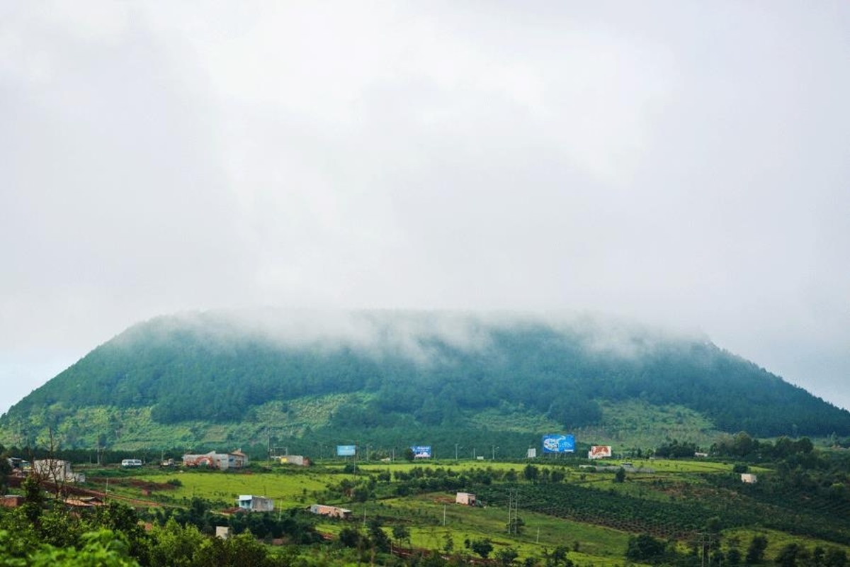 View Núi Hàm Rồng (Núi Hàm Rồng)